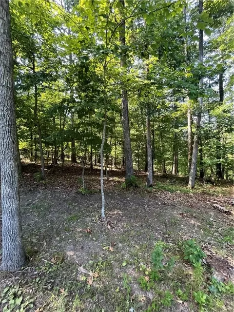 Undisclosed, Bella Vista, AR 72714