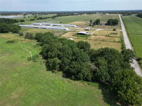 View/Area - 10149 Ruby Hall Rd, Gentry, AR 72734 photo 3 of 9