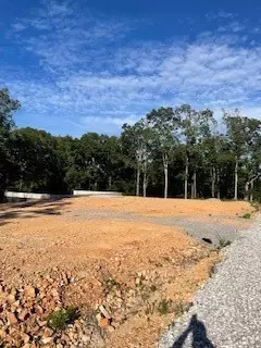 834 Oriole, Noel, MO 64854 photo 13