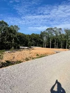 834 Oriole, Noel, MO 64854 photo 10