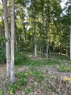 834 Oriole, Noel, MO 64854 photo 15