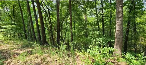 33 Dunholme Drive, Bella Vista, AR 72714