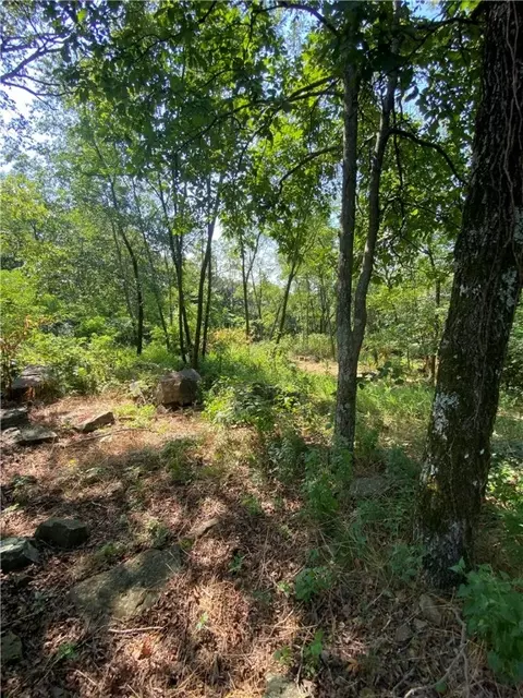 12297 Sheehan Rd, West Fork, AR 72774 photo 17