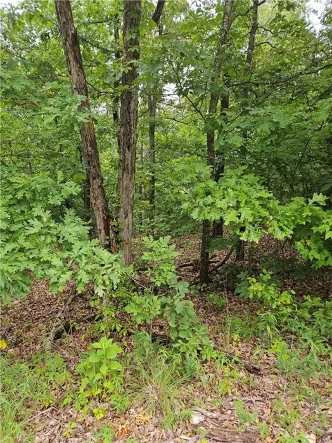 lothian drive LOT 5, Bella Vista, AR 72715