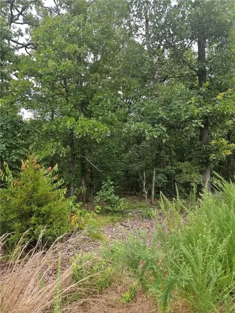 patsy circle LOT 6, Bella Vista, AR 72715