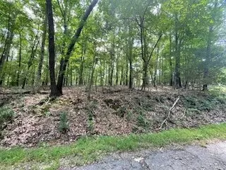 lot6 Chelmsworth Cir, Bella Vista, AR 72715