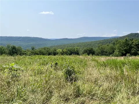 2240 Browntown Rd, Witts Springs, AR 72686