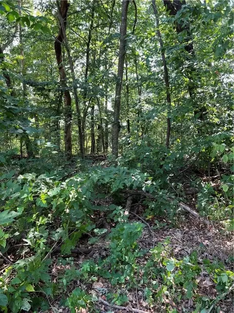 Whithorn Lane, Bella Vista, AR 72715