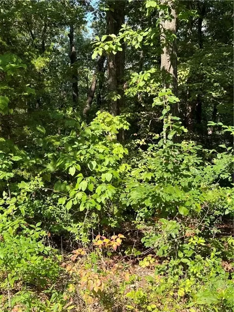 York Drive, Bella Vista, AR 72714