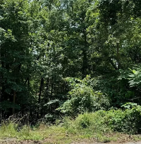lot22 Block 4 Chapel Ln, Bella Vista, AR 72715