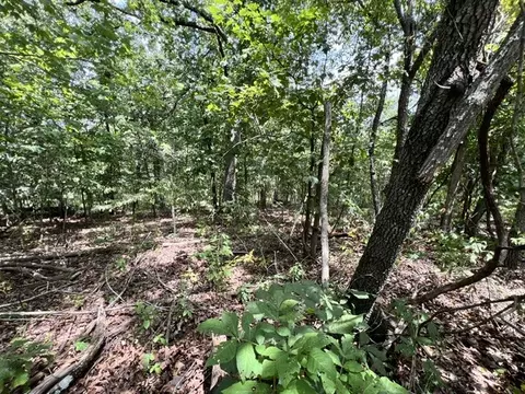 lot21 Block 3 Topcliffe Ln, Bella Vista, AR 72715