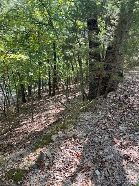 Elm Avenue, Garfield, AR 72732