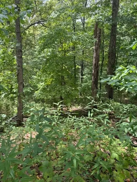 Consett Lane, Bella Vista, AR 72714