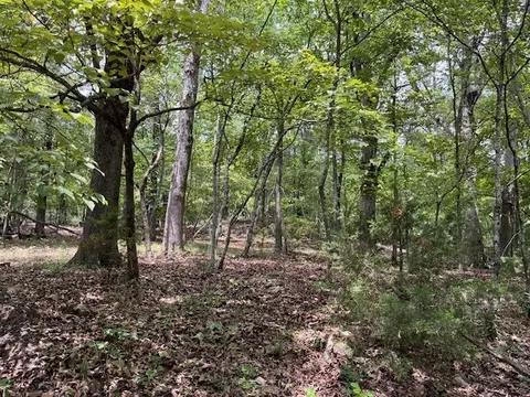 tbd Trestle St, Winslow, AR 72959