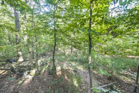 14213 Sugar Mountain Rd, West Fork, AR 72774 photo 29