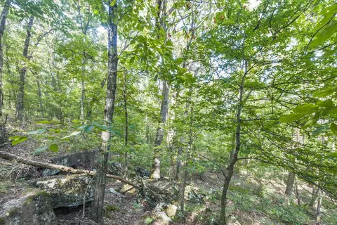 14213 Sugar Mountain Rd, West Fork, AR 72774 photo 30