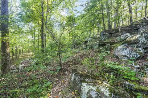 14213 Sugar Mountain Rd, West Fork, AR 72774 photo 32