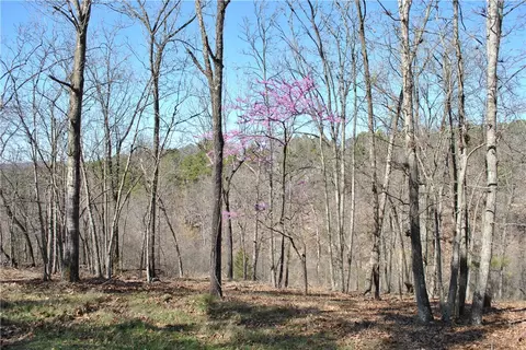 lot102 E A E Robin Rd, Rogers, AR 72756 photo 3