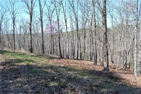 lot102 E A E Robin Rd, Rogers, AR 72756 photo 2