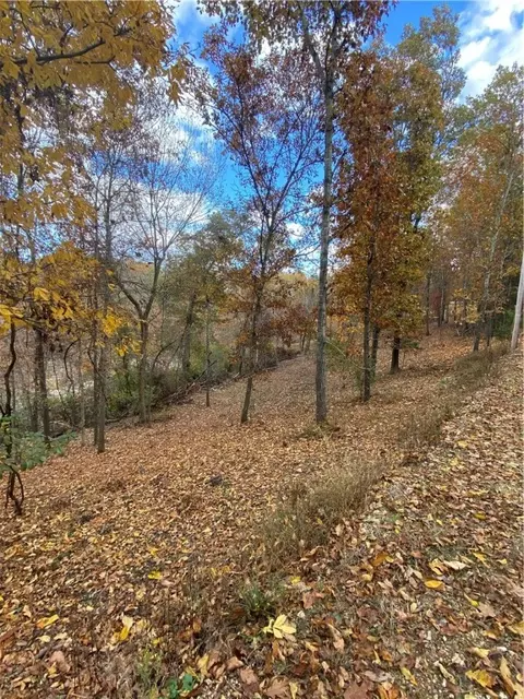 lot101 E Robin Rd, Rogers, AR 72756 photo 12