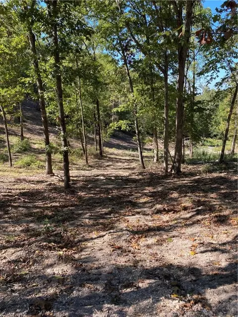 lot101 E Robin Rd, Rogers, AR 72756 photo 13