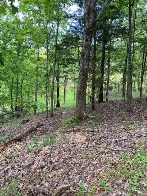 lot101 E Robin Rd, Rogers, AR 72756 photo 14