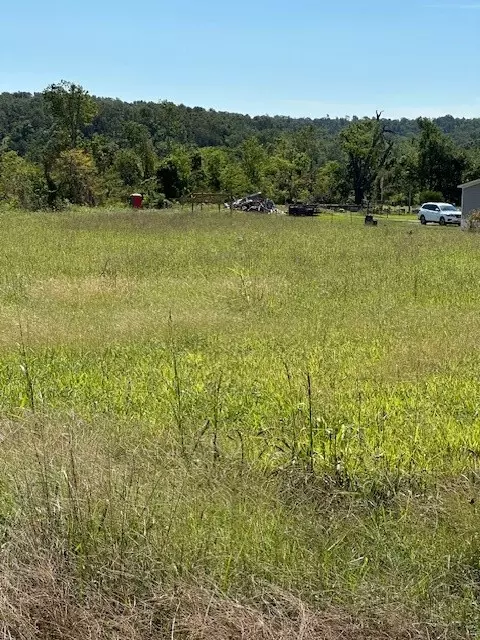 1635 Marion County 4010, Yellville, AR 72687