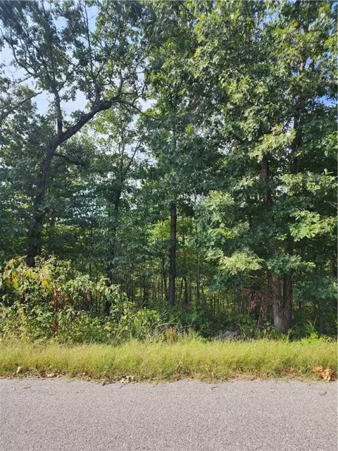L21 B2 Leona Drive, Bella Vista, AR 72715