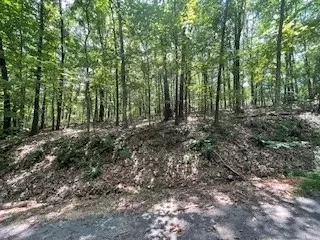 lot7 Chelmsworth Cir, Bella Vista, AR 72715