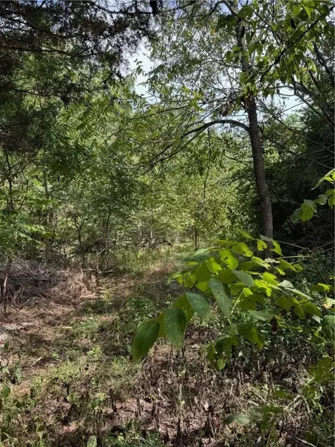 4054 Hickenbottom Rd, Harrison, AR 72601 photo 38