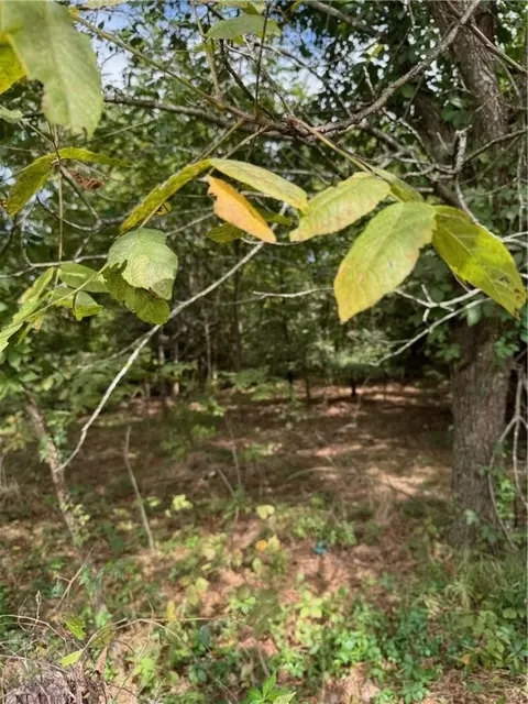 4054 Hickenbottom Rd, Harrison, AR 72601 photo 35