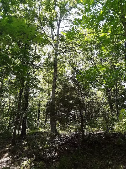 Armitage Drive, Bella Vista, AR 72715