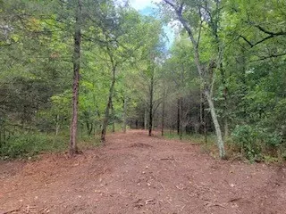 Cr 302, Eureka Springs, AR 72638