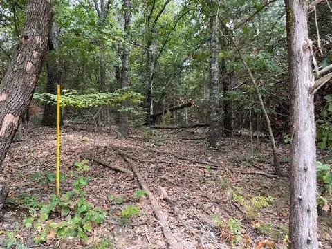 tbd Daisy Ln, Lowell, AR 72745