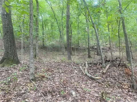 11 Pine Ln, Eureka Springs, AR 72631