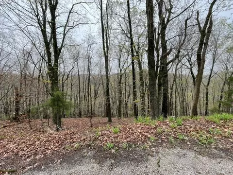 37 Pyramid Ln, Eureka Springs, AR 72631