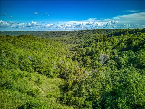 675 Mc 8043, Peel, AR 72668 photo 40