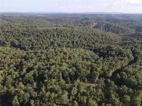 654 Warrior Dr, Harriet, AR 72639 photo 27