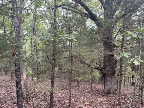 Sutton Place, Harrison, AR 72601