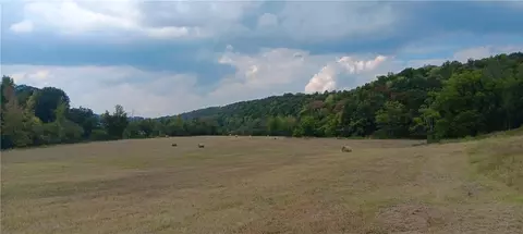 Terrapin Creek Road, Harrison, AR 72601