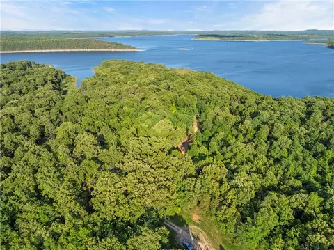* Persimmon, Lead Hill, AR 72644 photo 11