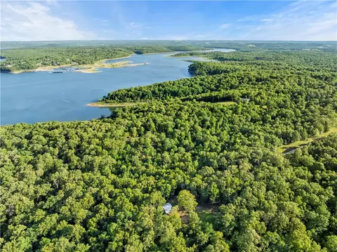 * Persimmon, Lead Hill, AR 72644 photo 8
