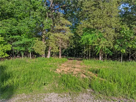 * Persimmon, Lead Hill, AR 72644 photo 12