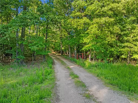* Persimmon, Lead Hill, AR 72644 photo 13
