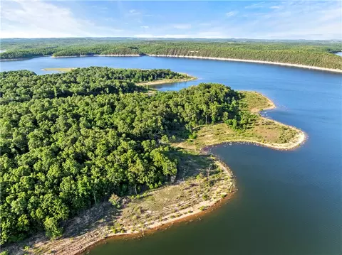 * Persimmon, Lead Hill, AR 72644