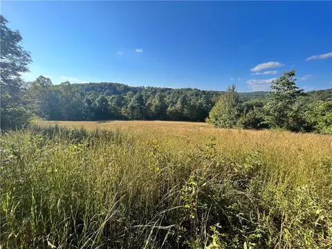 2195 Nc 9050, Jasper, AR 72641 photo 19