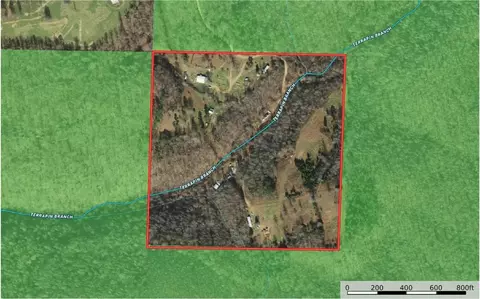 2195 Nc 9050, Jasper, AR 72641 photo 45