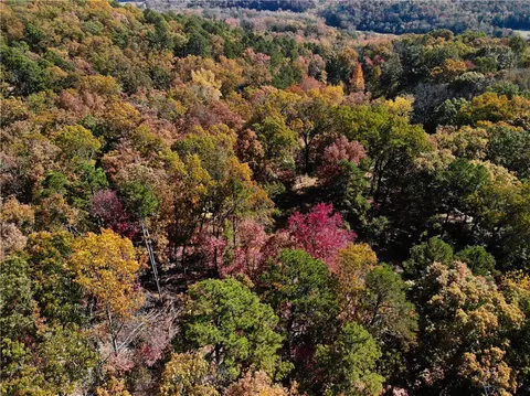 View/Area - 250 Nc 3183, Marble Falls, AR 72648 photo 3 of 3