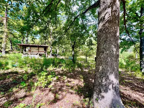Exterior - 250 Nc 3183, Marble Falls, AR 72648 photo 24 of 42