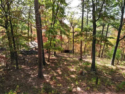 Exterior - 250 Nc 3183, Marble Falls, AR 72648 photo 6 of 42